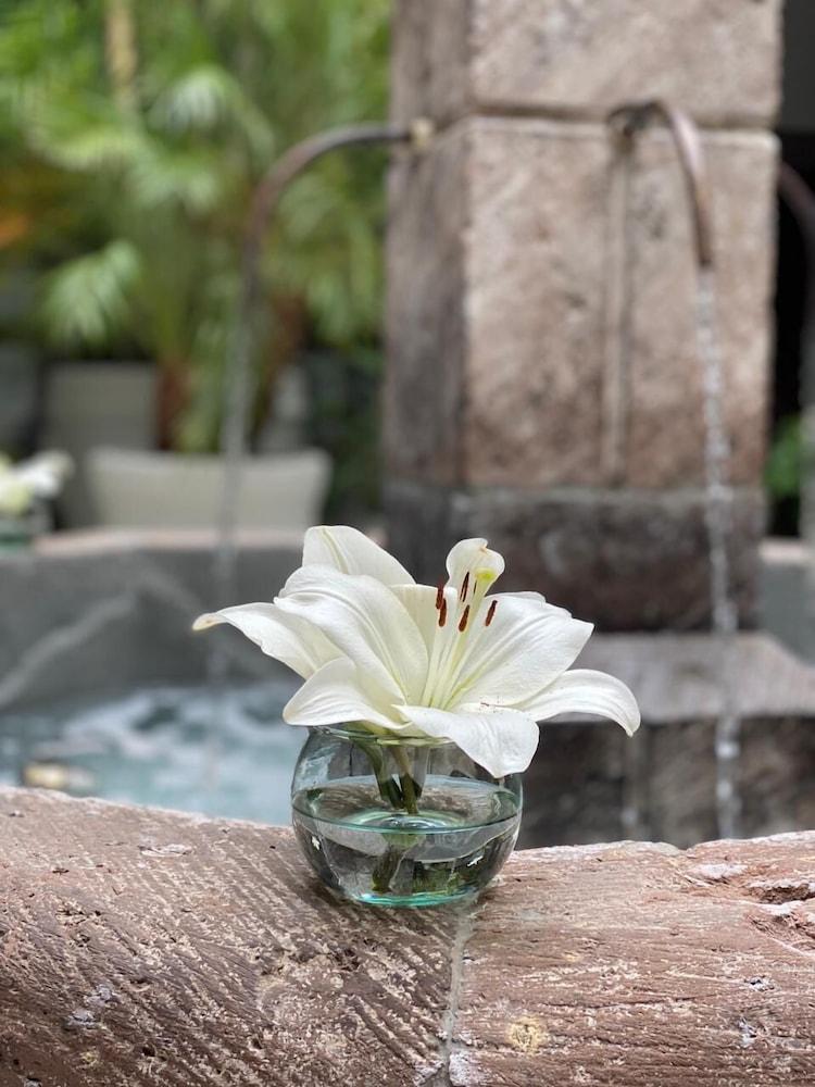 Hotel Boutique Hacienda Guadalupe سان ميغيل دي الليندي المظهر الخارجي الصورة