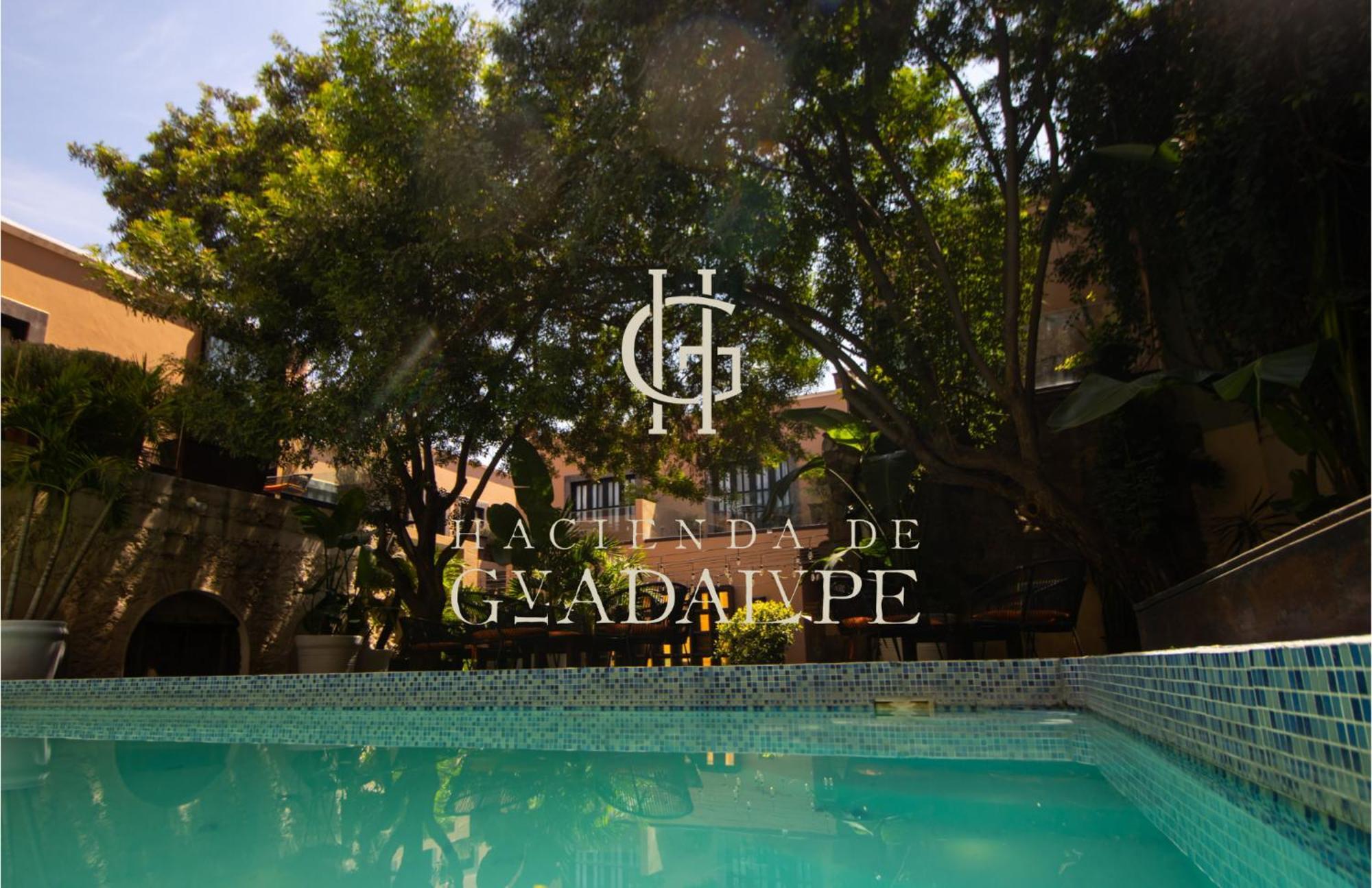 Hotel Boutique Hacienda Guadalupe سان ميغيل دي الليندي المظهر الخارجي الصورة